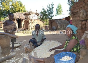 Most areas in Malawi are generally experiencing favourable food security