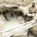 Is it duty of MPs to bring boreholes to community?