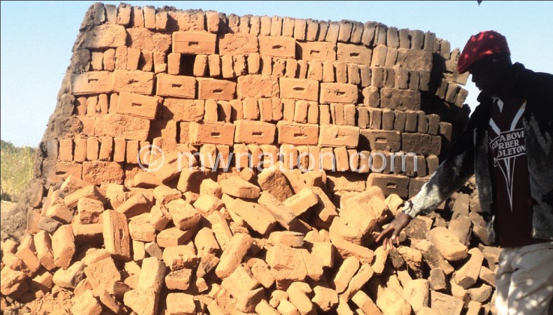 Burnt bricks increase environmental degradation