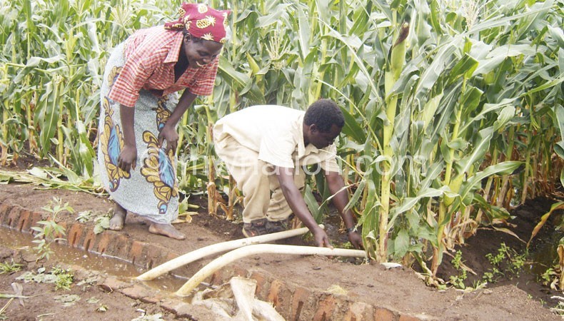 Irrigation farming allows for multiple harvests