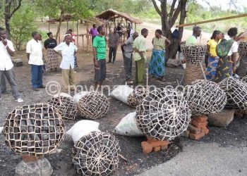 Most Malawians still rely on charcoal as source of energy