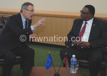 Mutharika and Piebalgs during their meeting on Tuesday in New York