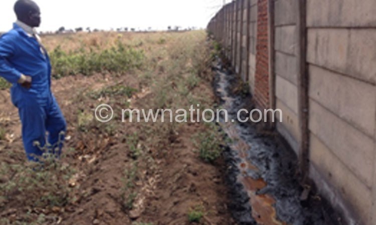 A river of oil flowing from from Sunseed Oil Limited premises