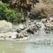Communities on the banks of polluted Mudi River claim they use water household use