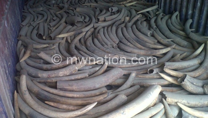 Some of the seized ivory to be burnt