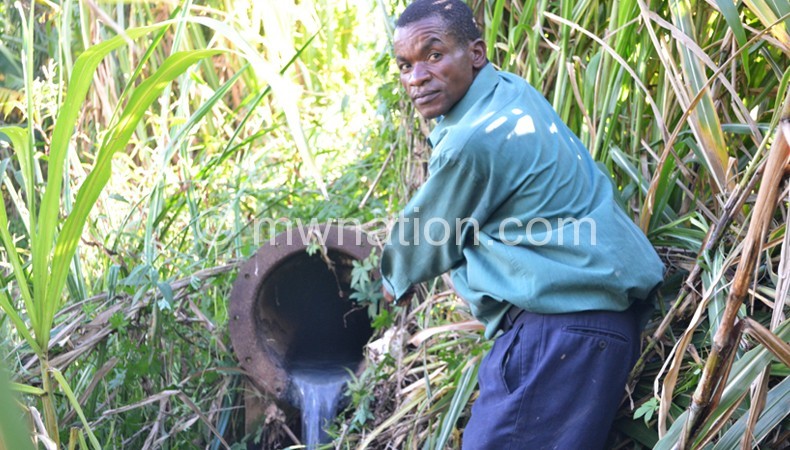 Sandram pointing at a broken sewer pipe draining feacal matter into a maize garden down to Lumbadzi River