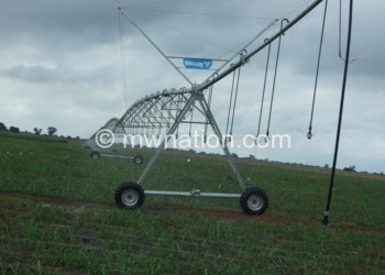 A lot of land in Malawi is not irrigated