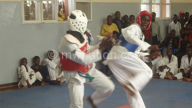 The new committee has a task of rejuvinating taekwondo