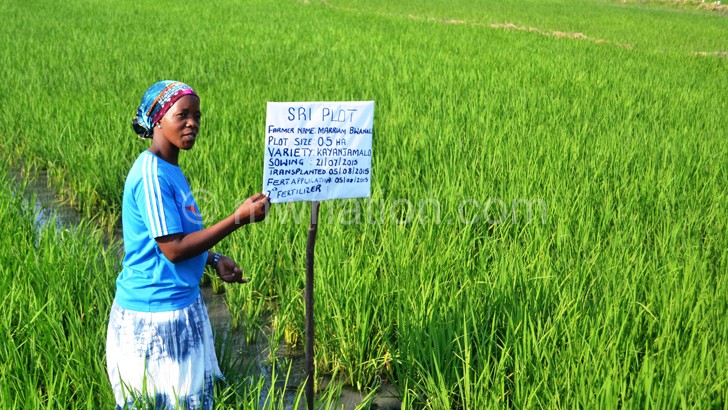Mariam Bwanali in her SRI planted rice field