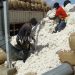 Prospects for cotton are positive this year
 Company in Balaka District