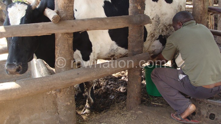 The country’s livestock sector is said to be underdeveloped
