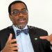 Adesina: We must solve our own challenges