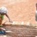Brick by brick: Siwamba takes part in construction of a classroom at 
Kasama Skills Development Centre