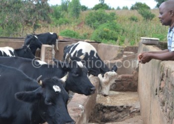 The centre produces vaccines for cattle
