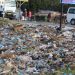 Plastics pollute the environment