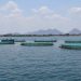 Maldeco produces fish in cages in Mangochi on Lake Malawi