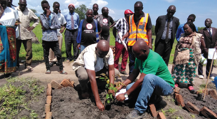 NCIC plants 1 500 trees in Karonga