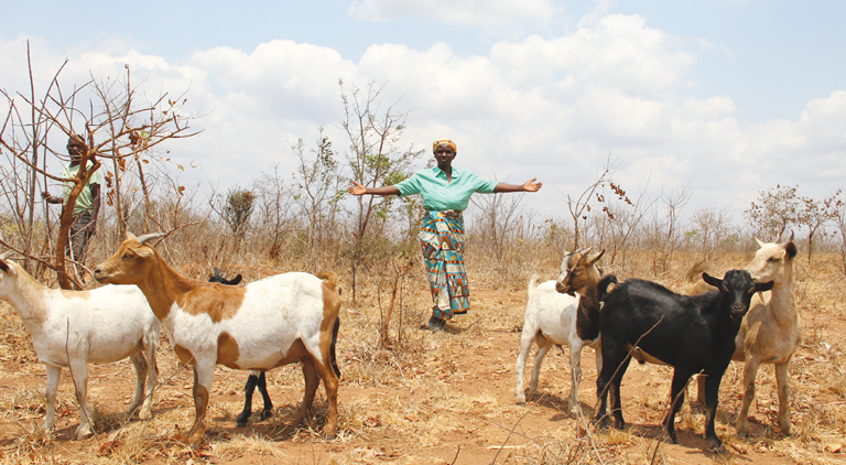 Goats for farmers’ good