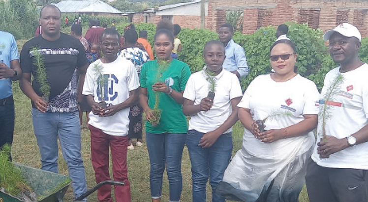 Insurance staff plant trees in disaster-prone areas in Mzuzu