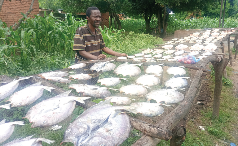 Making fish farming profitable