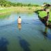 Small-scale fish farming is not profitable