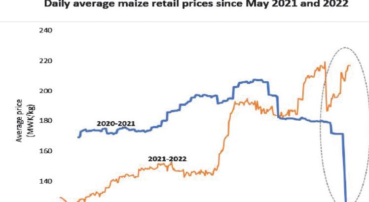 Maize prices remain volatile, up 12%